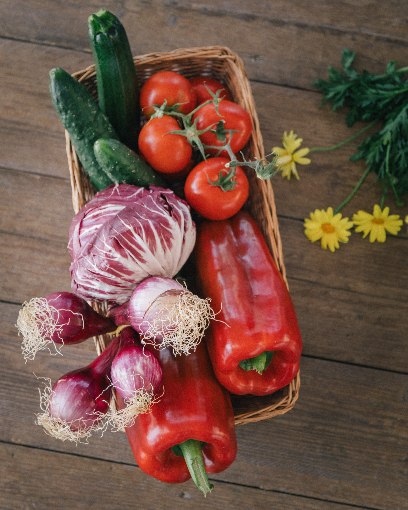 'Autumn Harvest: Gratitude and Sharing'